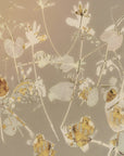 Plakat - Happy flowers