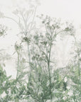 Plakat - Morning atmosphere