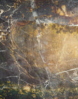 Poster - Jungle Forest Art Illustration 04