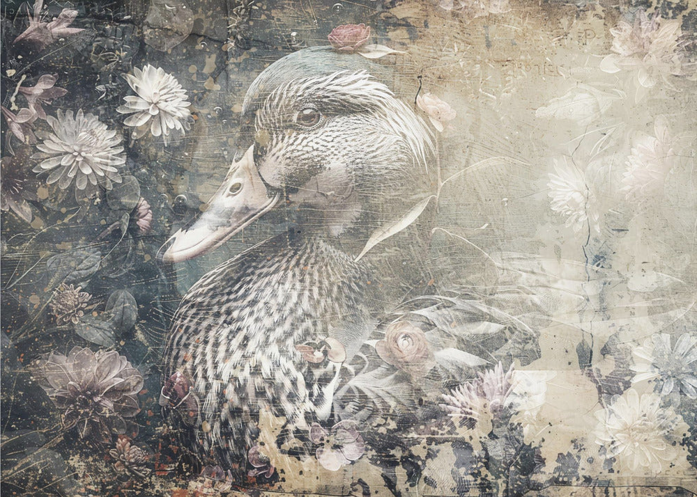 Plakat - Duck Animal Vintage Art Illustration Wallart 05