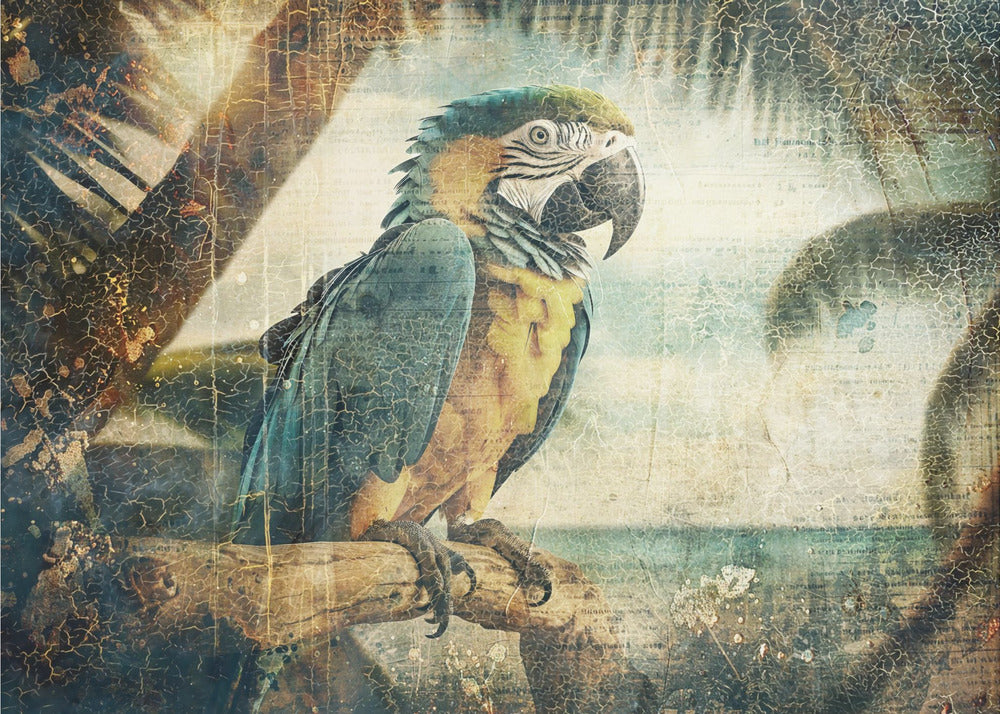 Plakat - Parrot Animal Vintage Art Illustration Wallart 03
