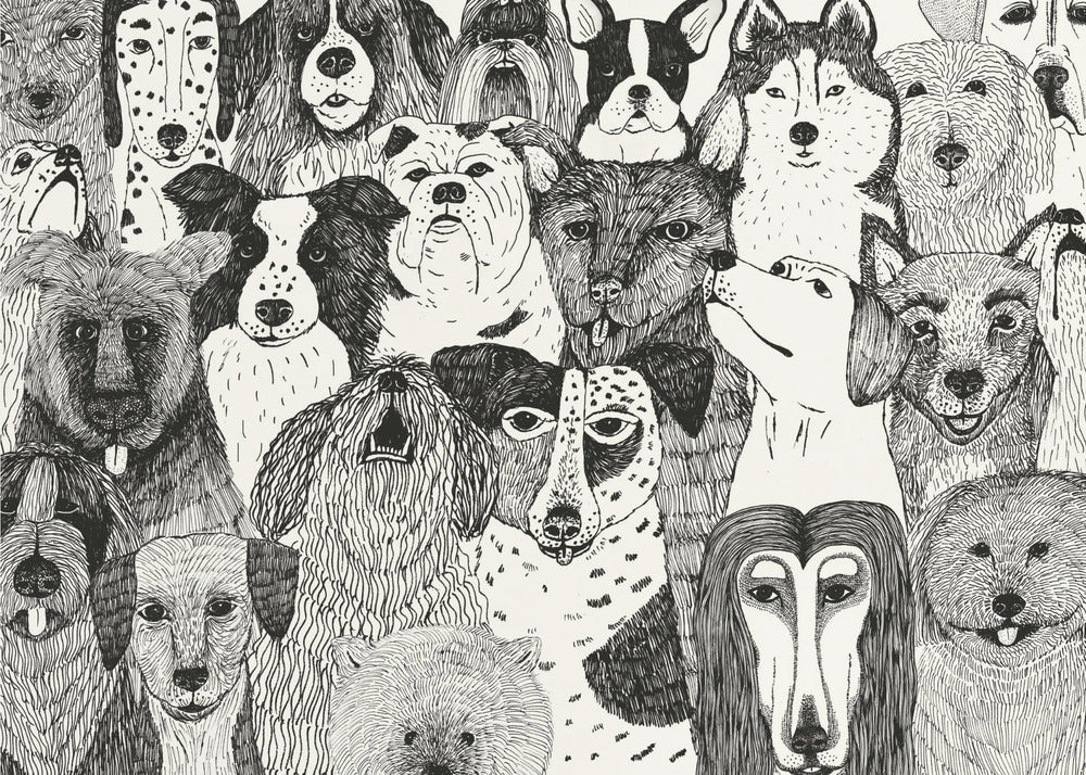 Plakat - Dogs