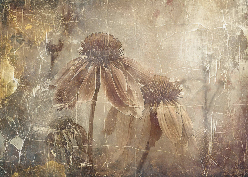 Plakat - Flower Floral Art Illustration Wallart 081