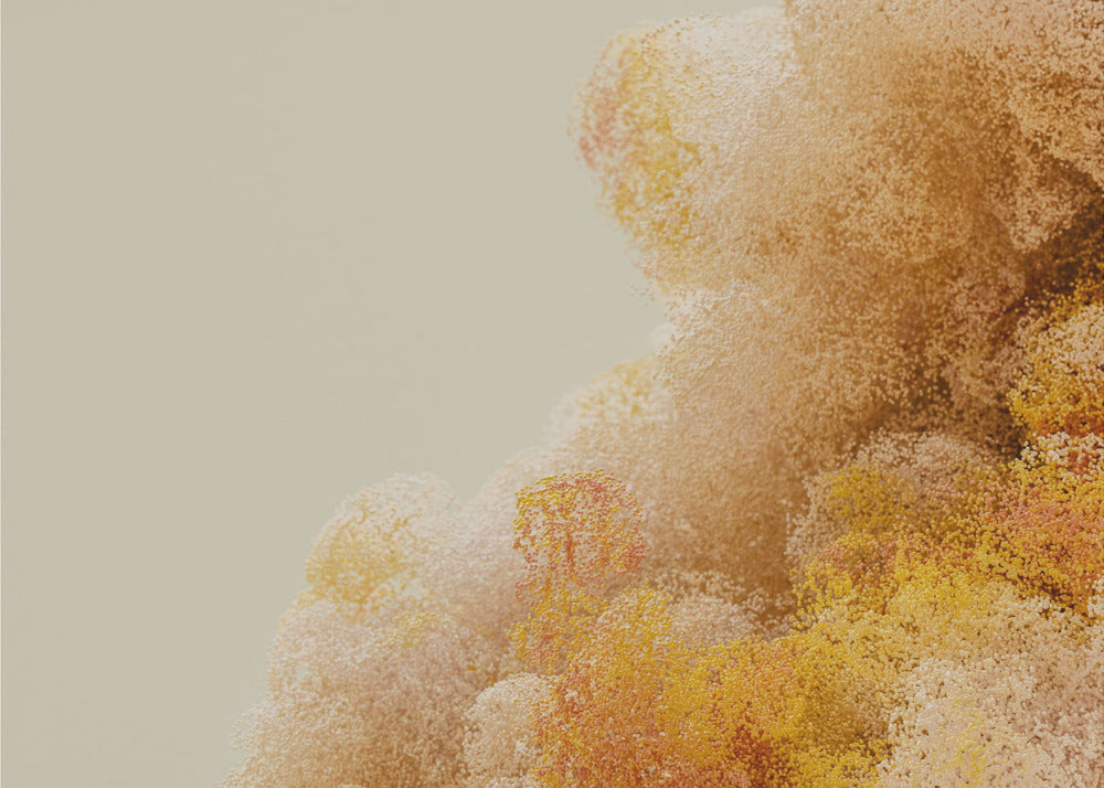 Akustik - Particle Explosion - Admen.dk