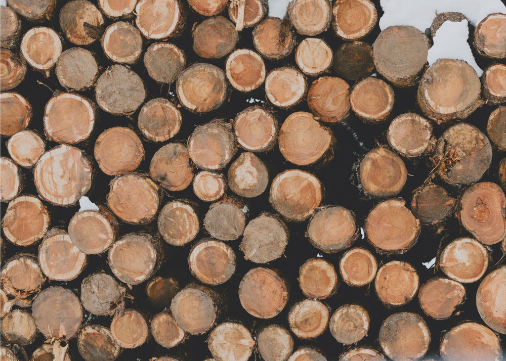 Akustik - Wood Logs 03