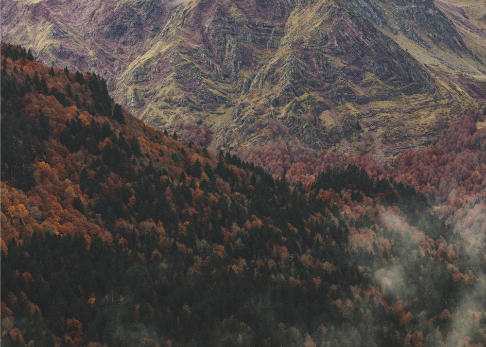 Plakat - Foggy Mountains 01