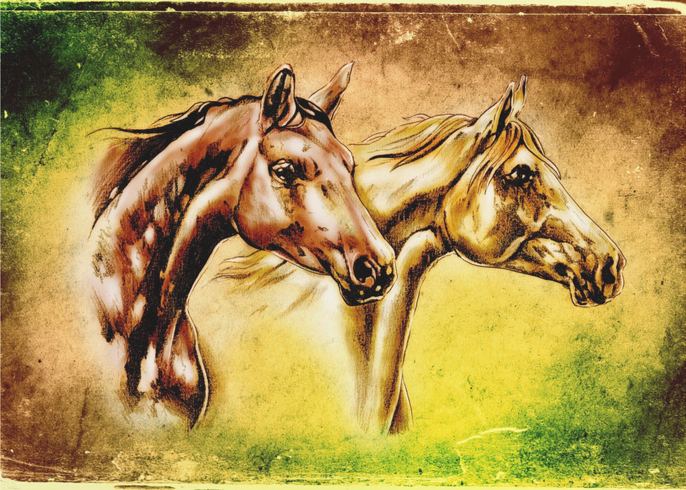 Plakat - Horses 4