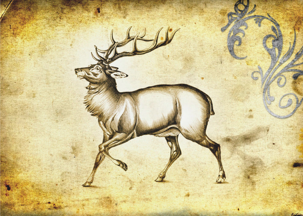 Plakat - Red Deer 6