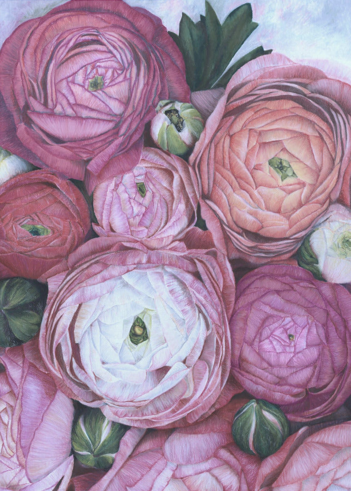 Plakat - Arleth ranunculus bouquet in cold pink