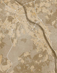 Plakat - Sepia vintage map of Bonn Germany