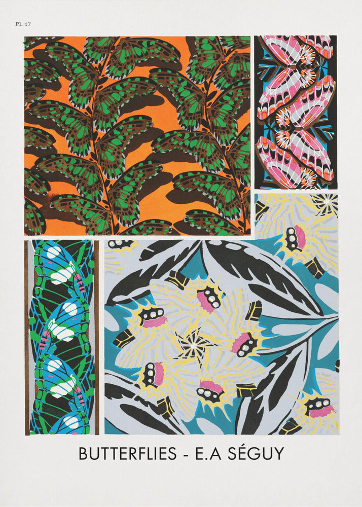 Plakat - Butterflies 17