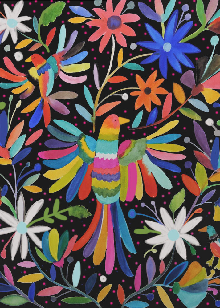Plakat - Pajaros - Admen.dk