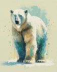 Plakat - Polar bear