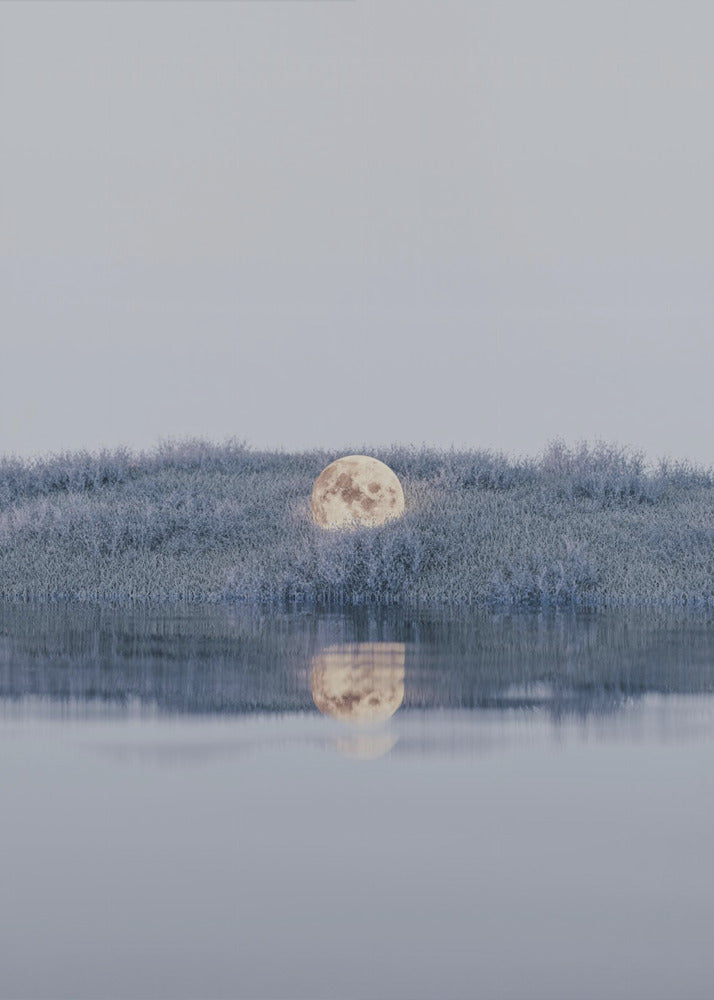 Plakat - Surreal Landscape