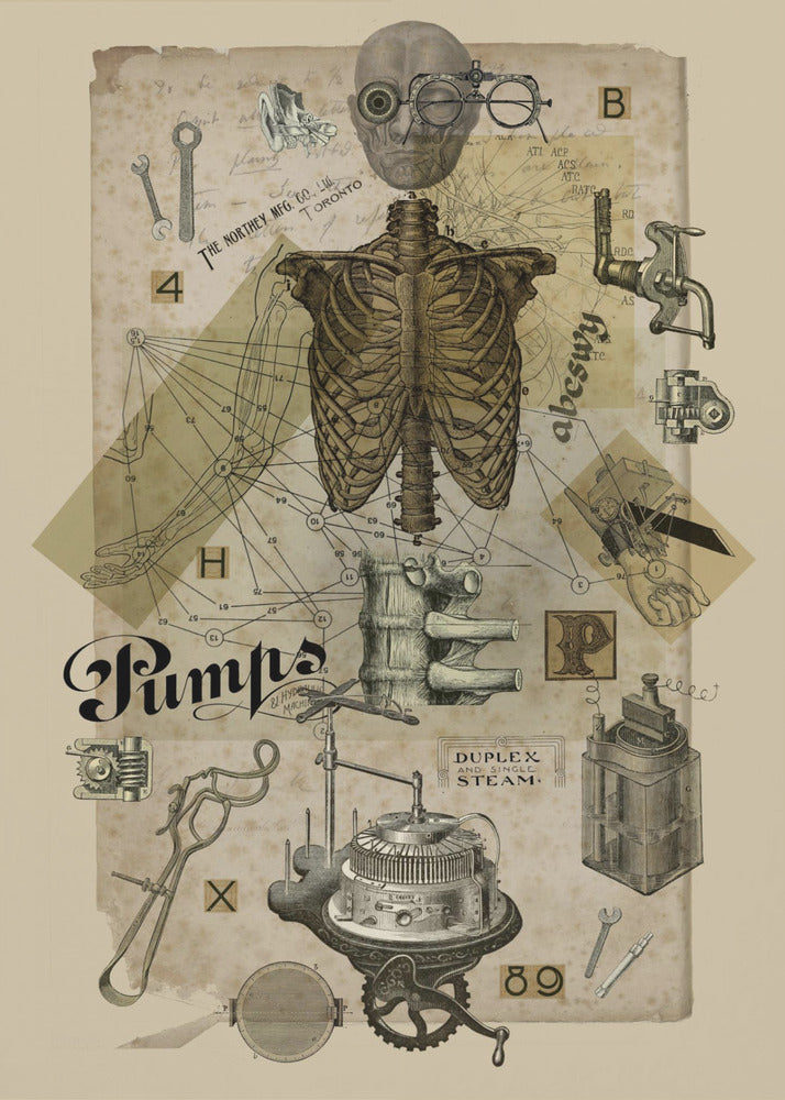 Poster - Body In Metamorphosis