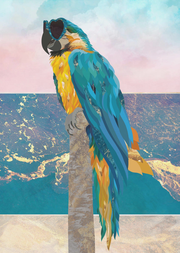 Plakat - Macaw On Holiday 01