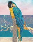Plakat - Macaw On Holiday 01