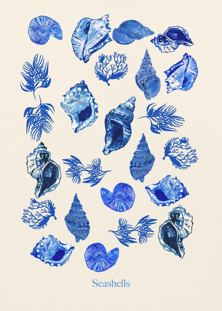 Plakat - Seashells Poster