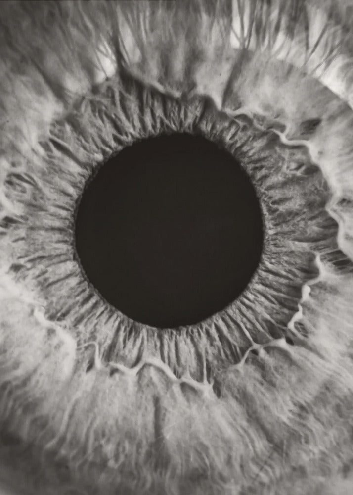 Plakat - Iris