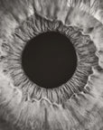 Plakat - Iris