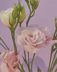 Plakat - 60