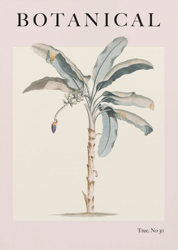Plakat - Botanicalno30 Ratioiso