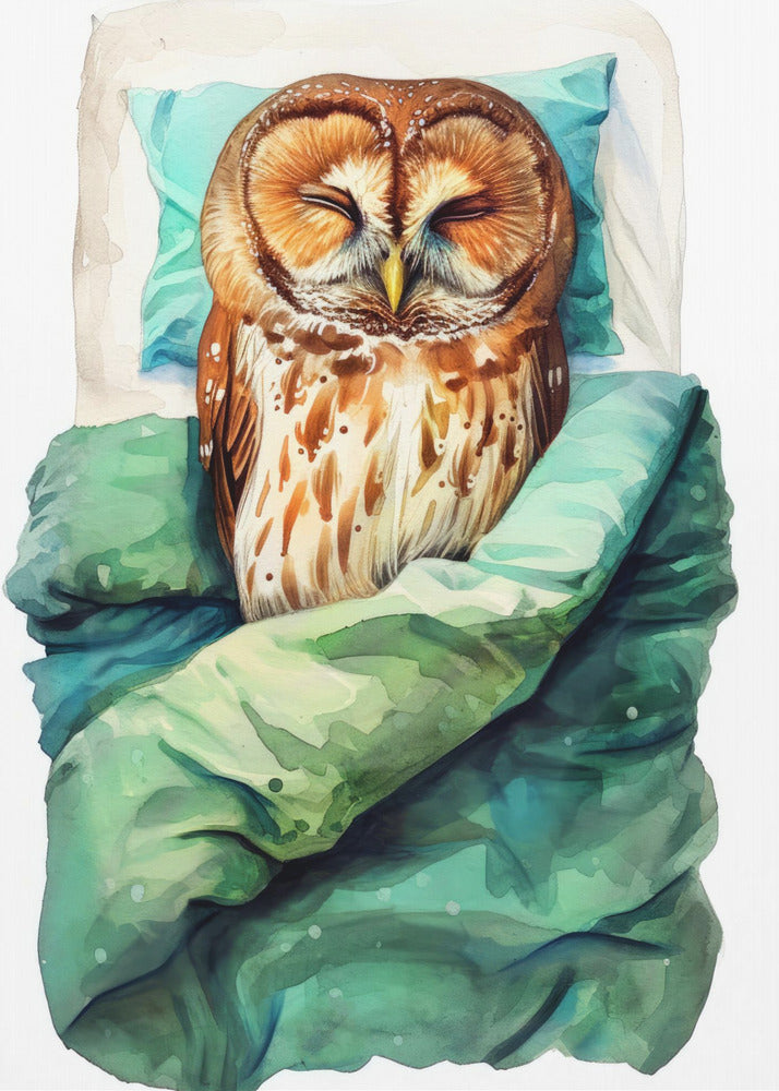 Plakat - Animal Watercolor Art Bird Sleeping Owl - Justyna Jaszke