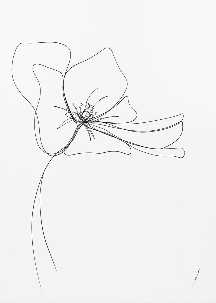 Poster - HYDRANGEA