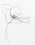 Poster - HYDRANGEA