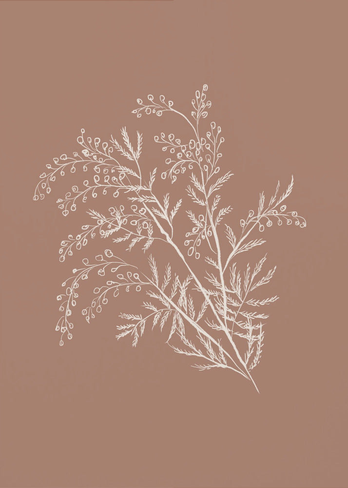 Poster - Acacia Botanical Branch