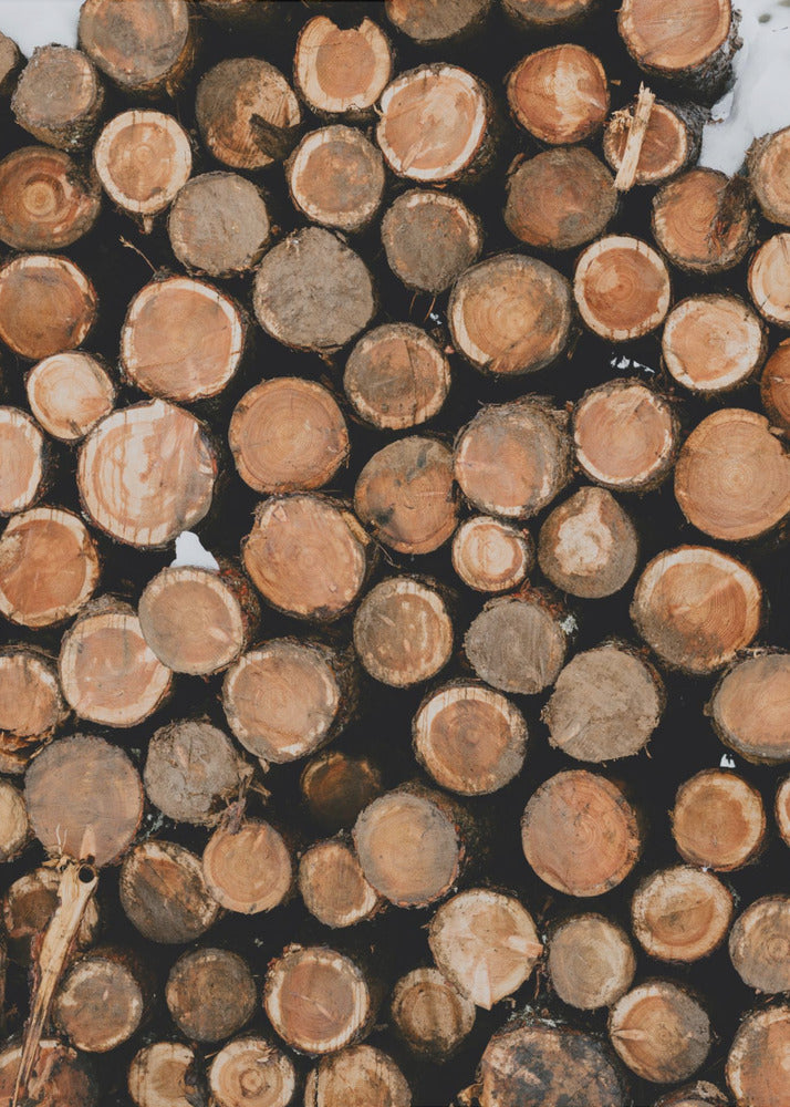 Akustik - Wood Logs 02