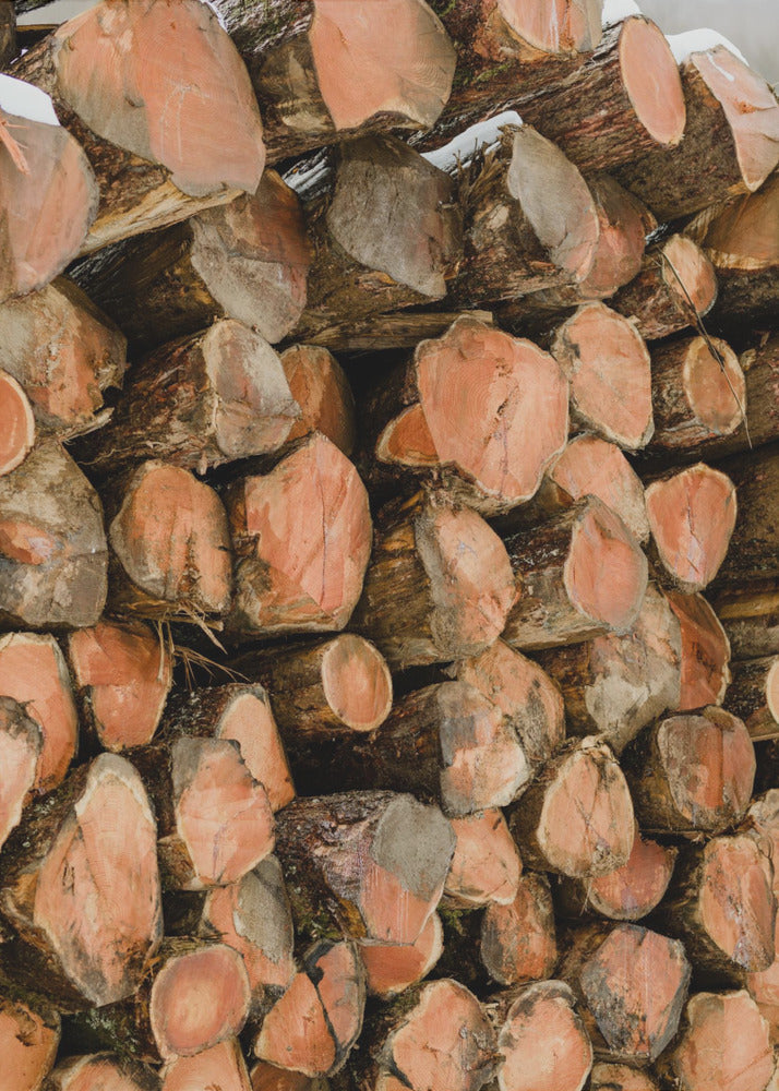 Akustik - Wood Logs 01