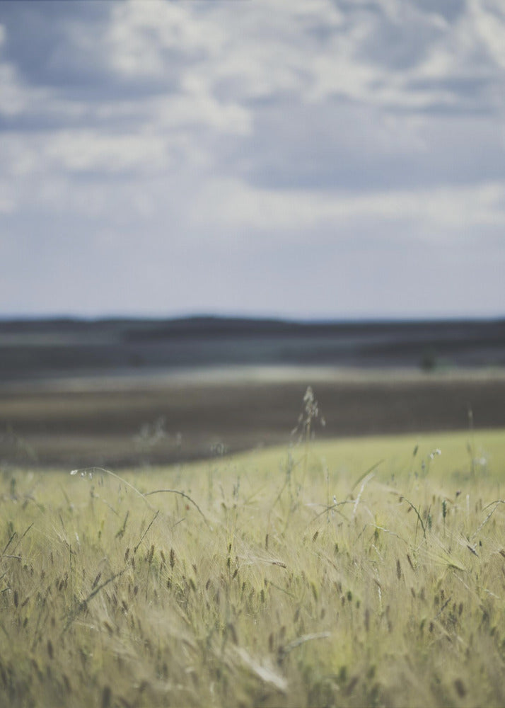 Akustik - Dreamy Fields