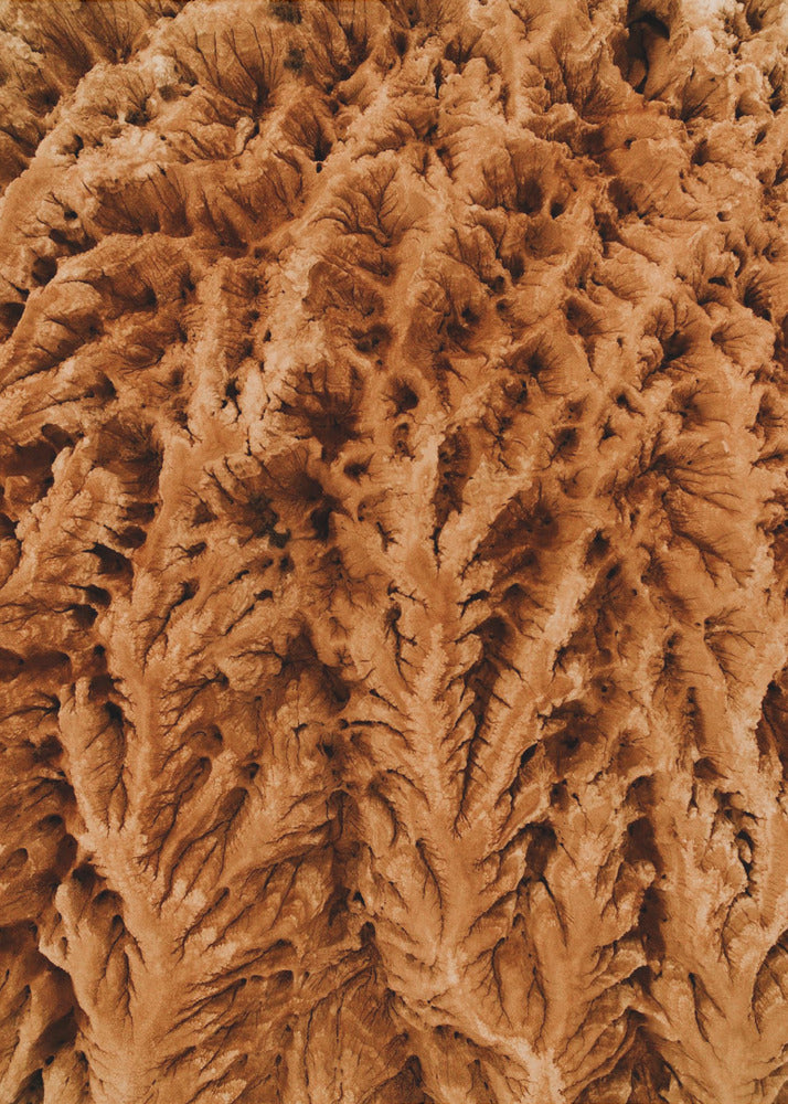 Plakat - Desert Patterns 10