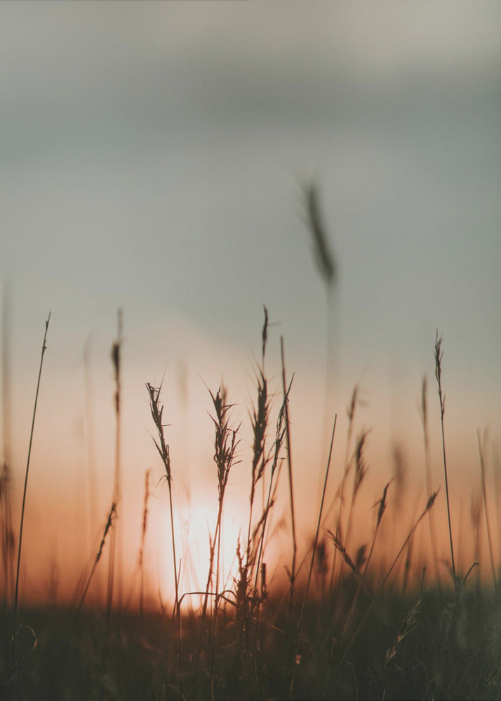 Plakat - Landscape 02 - Admen.dk