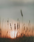 Plakat - Landscape 02 - Admen.dk