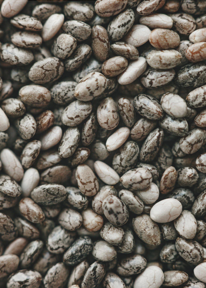 Akustik - Chia Seeds - Admen.dk