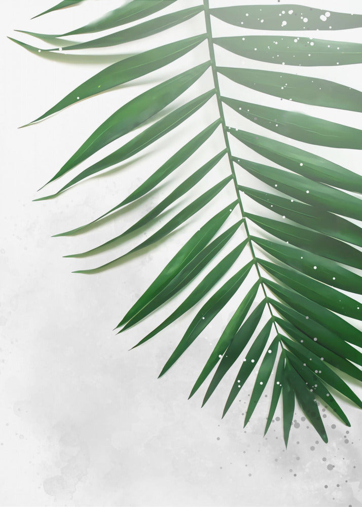 Plakat - Plants 5