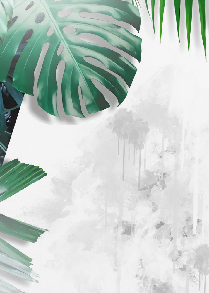 Poster - Plants 18