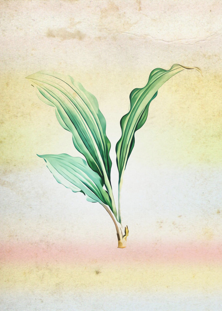 Plakat - Plants 31