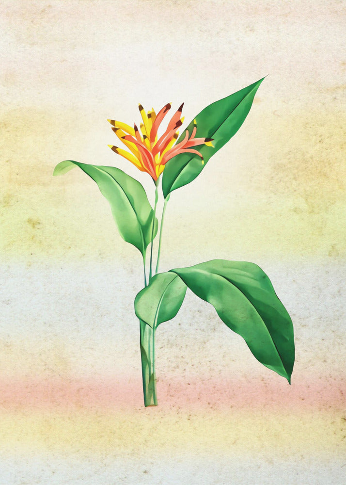 Plakat - Plants 33