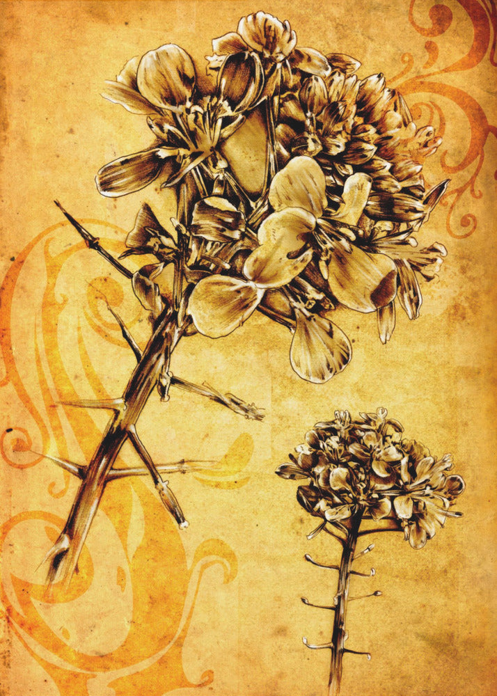 Poster - Sepia Illustration 28