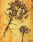 Poster - Sepia Illustration 28