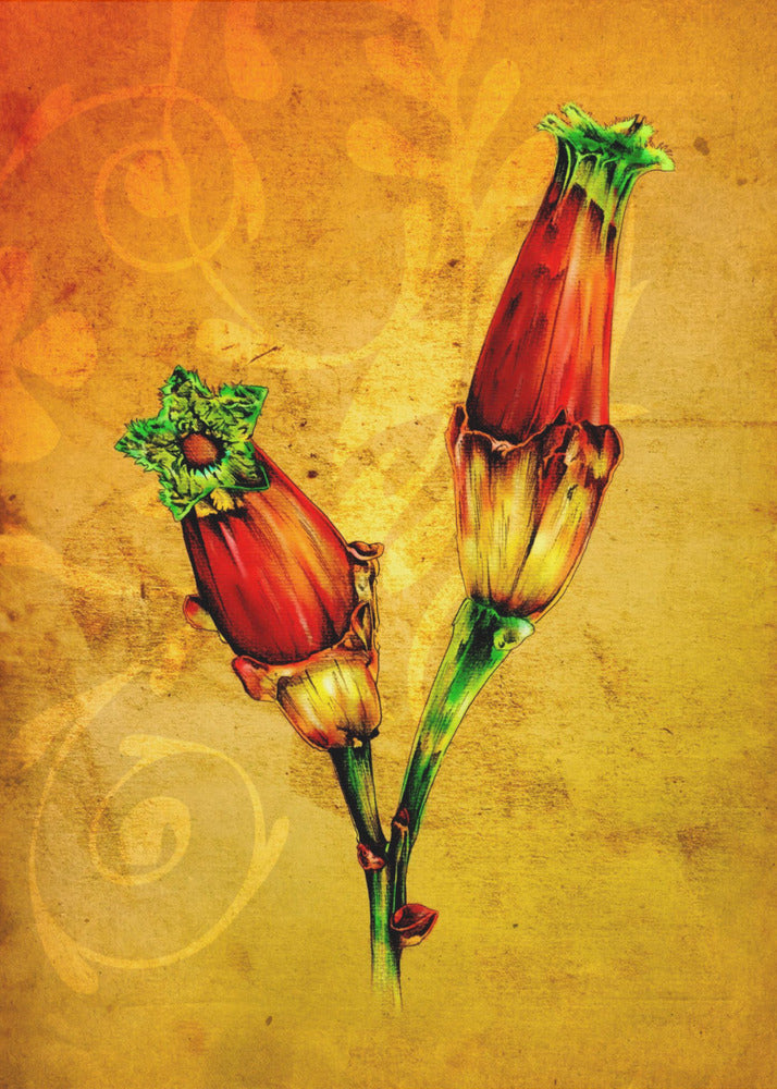 Plakat - Sepia Illustration 30